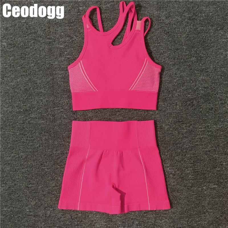 Summer Women Seamless 2pcs Yoga Set Ultra Sport Bras Gym Clothes Fitness High Waist Shorts Leggings Sportswear Outfit Tracksuit, Cb242 ble bra st set
Summer Women Seamless 2pcs Yoga Set Ultra Sport Bras Gym Clothes Fitness High Waist Shorts Leggings Sportswear Outfit Tracksuit, Cb242 ble bra st set