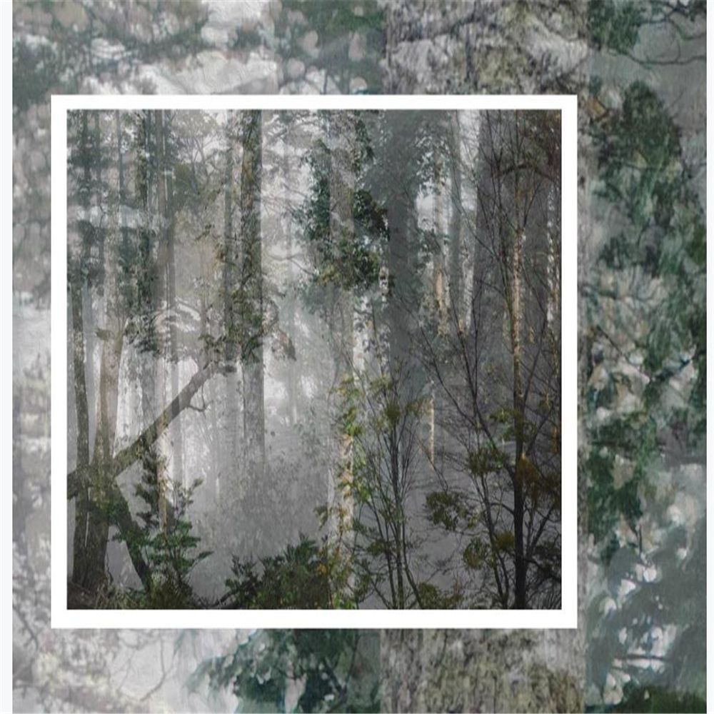 Photo Forest wallpapers woods natural wallpapers living room background wall paper 3d stereoscopic wallpaper