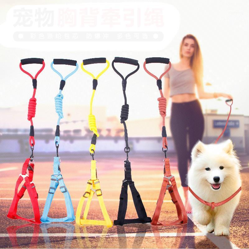High quality pet dog rope chain color core foam thoracodorsal traction rope pet supplies1
High quality pet dog rope chain color core foam thoracodorsal traction rope pet supplies1