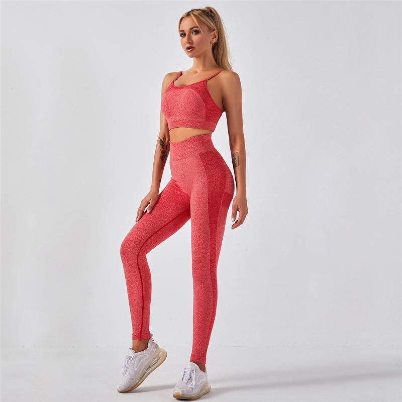 Seamless Sportswear Sports Bra and Leggings Women 2 Piece Yoga Set Fitness Running Workout Clothes for Women Gym Outfit A011BP, Bra gray 
Seamless Sportswear Sports Bra and Leggings Women 2 Piece Yoga Set Fitness Running Workout Clothes for Women Gym Outfit A011BP, Bra gray