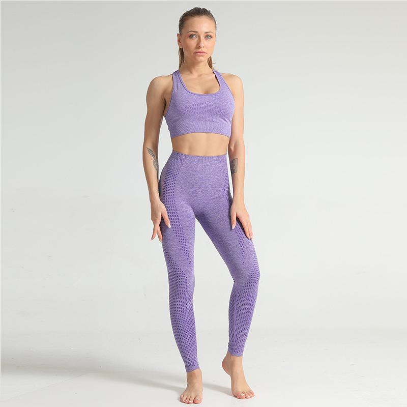 Women Seamless Yoga Set Fitness Sports wear Gym Clothing Vest Bra Crop Top Underwea High Waist Running Leggings Workout Pants, P15-cangqing
Women Seamless Yoga Set Fitness Sports wear Gym Clothing Vest Bra Crop Top Underwea High Waist Running Leggings Workout Pants, P15-cangqing