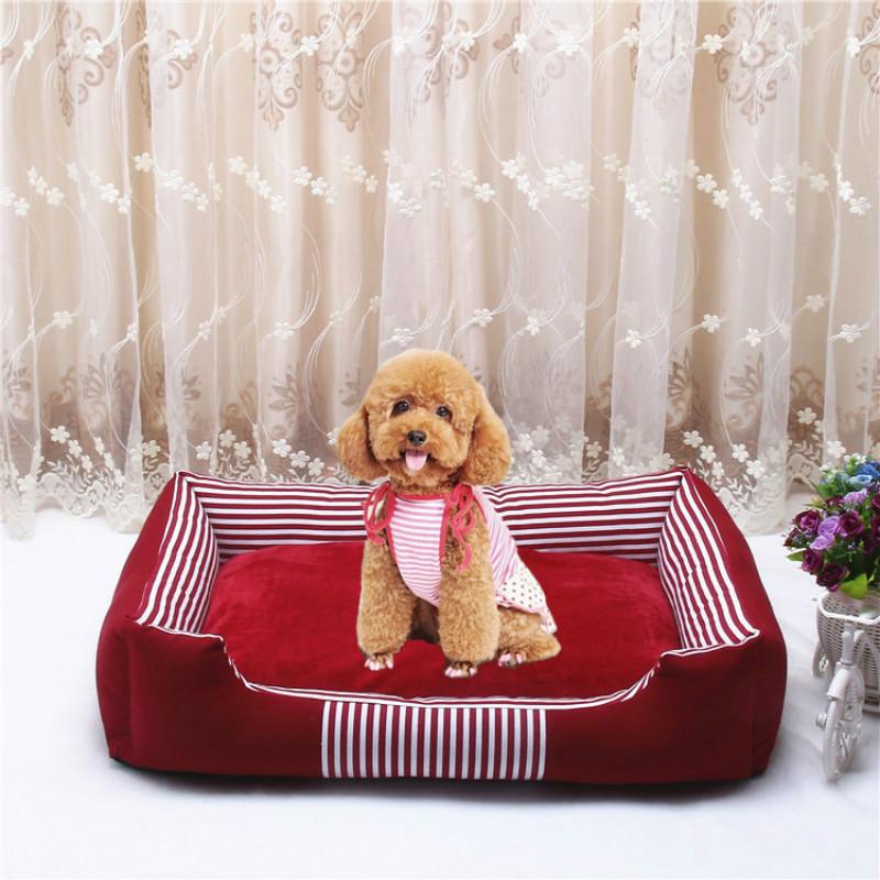 Pet Bed for Animals Dog Beds for Small Dogs Cat Wash Soft Sofa Fleece Bed Warm Small Dog Kennel Chihuahua Puppy Mat Pet Supplies, Gray
Pet Bed for Animals Dog Beds for Small Dogs Cat Wash Soft Sofa Fleece Bed Warm Small Dog Kennel Chihuahua Puppy Mat Pet Supplies, Gray