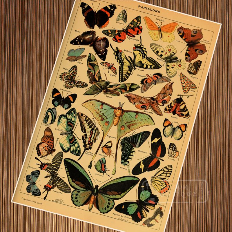 Vintage Butterfly Species Encyclopedias Illustration Retro Poster Canvas Painting DIY Wall Paper Posters Home Decor Gift
Vintage Butterfly Species Encyclopedias Illustration Retro Poster Canvas Painting DIY Wall Paper Posters Home Decor Gift