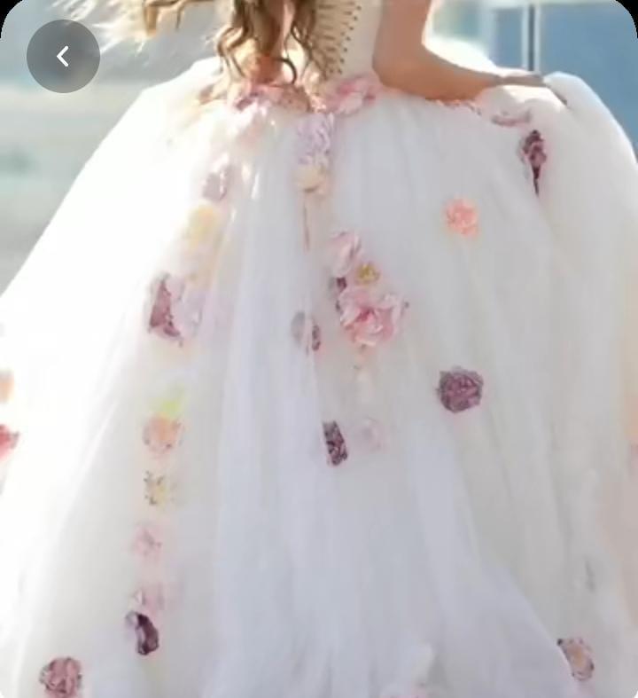 Off Shoulder Colorful 3D Flowers Cinderella Themed Wedding Dress Ball Gown Romantic Sweep Train