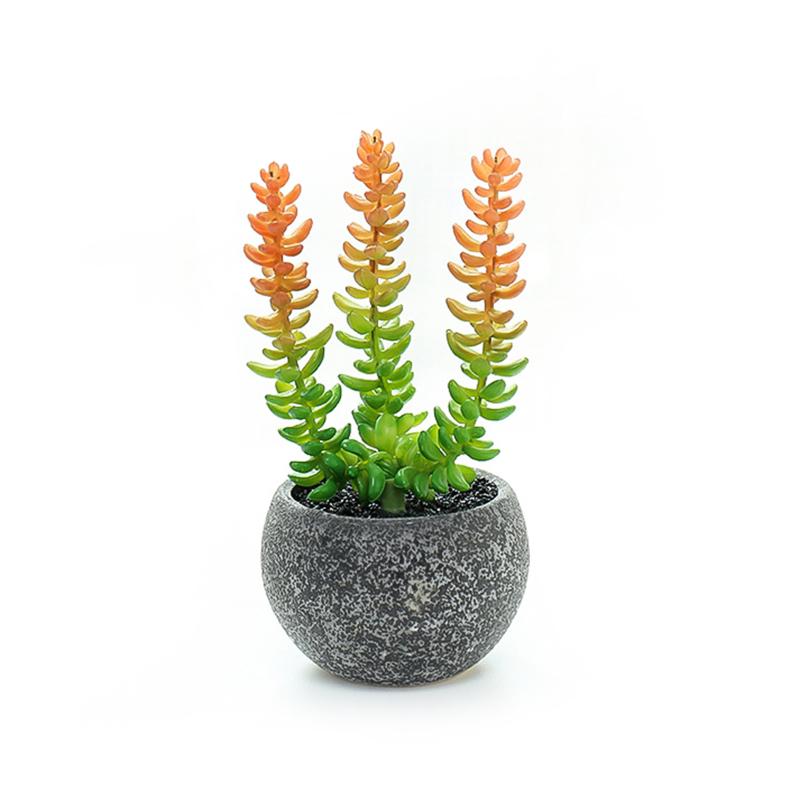 Bonsai Set Faux Succulents Home Balcony Decoration Fake Flower Vase For Outdoor Garden Realistic And Natural Simulation Cacti, Multicolor a2
Bonsai Set Faux Succulents Home Balcony Decoration Fake Flower Vase For Outdoor Garden Realistic And Natural Simulation Cacti, Multicolor a2