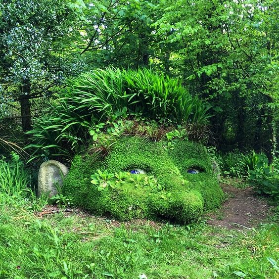 200pcs seeds Bonsai Moss, Sagina Subulata , Lovely Decorative Ball Creative Grass bonsai Potted Plants DIY Home Garde Organic Non-GMO The Budding Rate 95%
200pcs seeds Bonsai Moss, Sagina Subulata , Lovely Decorative Ball Creative Grass bonsai Potted Plants DIY Home Garde Organic Non-GMO The Budding Rate 95%