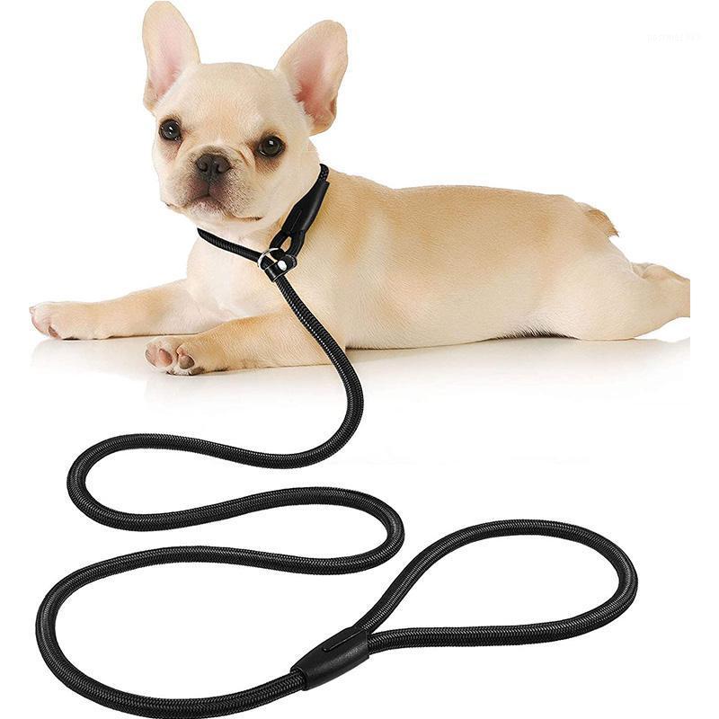 Dog Rope Lead Nylon Adjustable Loop Training Pet Leash Rope Collar Slip Lead for Walking Training Pets 130 cm1
Dog Rope Lead Nylon Adjustable Loop Training Pet Leash Rope Collar Slip Lead for Walking Training Pets 130 cm1