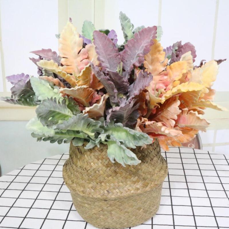 5pcs Artificial senecio cineraria Branch For Plant Wall Background Wedding Party Home Hotal Office Bar Decorative, Green
5pcs Artificial senecio cineraria Branch For Plant Wall Background Wedding Party Home Hotal Office Bar Decorative, Green
