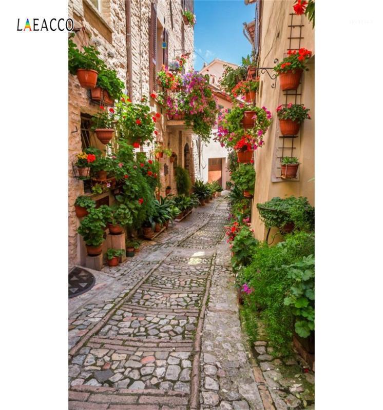 Laeacco Old Town Potted Flower Vine Alley Corridor House Scenic Photo Backgrounds Photography Backdrops For Photo Studio1
Laeacco Old Town Potted Flower Vine Alley Corridor House Scenic Photo Backgrounds Photography Backdrops For Photo Studio1