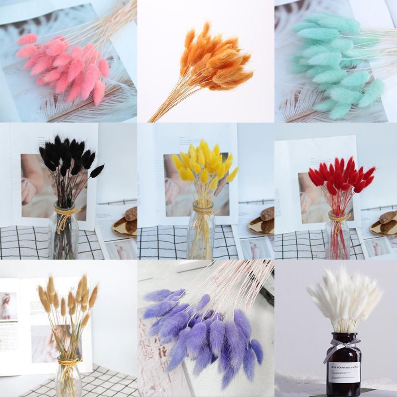Tail Grass Natural Dried Flowers For Home Decoration Flower Arrangement Lagurus Ovatus Real Flower Grass Props1, Brown
Tail Grass Natural Dried Flowers For Home Decoration Flower Arrangement Lagurus Ovatus Real Flower Grass Props1, Brown