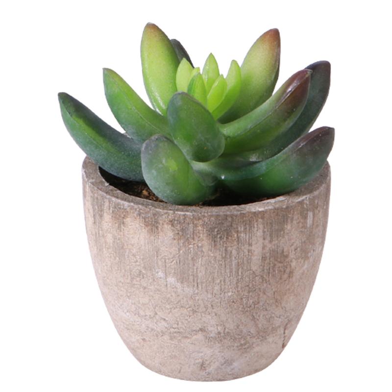 1PC Simulation Succulent Artificial Plant Bonsai Desktop Decoration Fake Potted Plant for Home Office Garden (Green, As shown
1PC Simulation Succulent Artificial Plant Bonsai Desktop Decoration Fake Potted Plant for Home Office Garden (Green, As shown