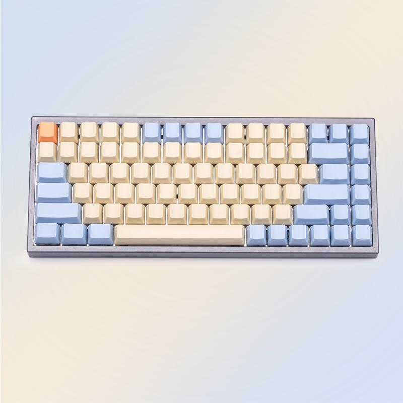 Milk Blue Matte Blank OEM Keycaps For Cherry Mx Switch 64 68 87 Keys Mechanical Keyboard Pure Color 1.45mm Thick PBT Keycaps
Milk Blue Matte Blank OEM Keycaps For Cherry Mx Switch 64 68 87 Keys Mechanical Keyboard Pure Color 1.45mm Thick PBT Keycaps