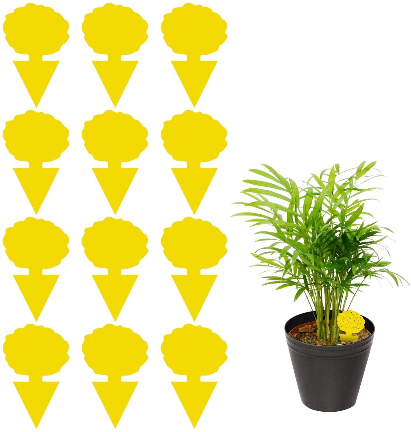 US STOCK 12 Pack Sticky Trap, Fruit Fly and Fungus Gnat Trap Killer Indoor and Outdoor, Protect The Plant, Non-Toxic and Odorles
US STOCK 12 Pack Sticky Trap, Fruit Fly and Fungus Gnat Trap Killer Indoor and Outdoor, Protect The Plant, Non-Toxic and Odorles