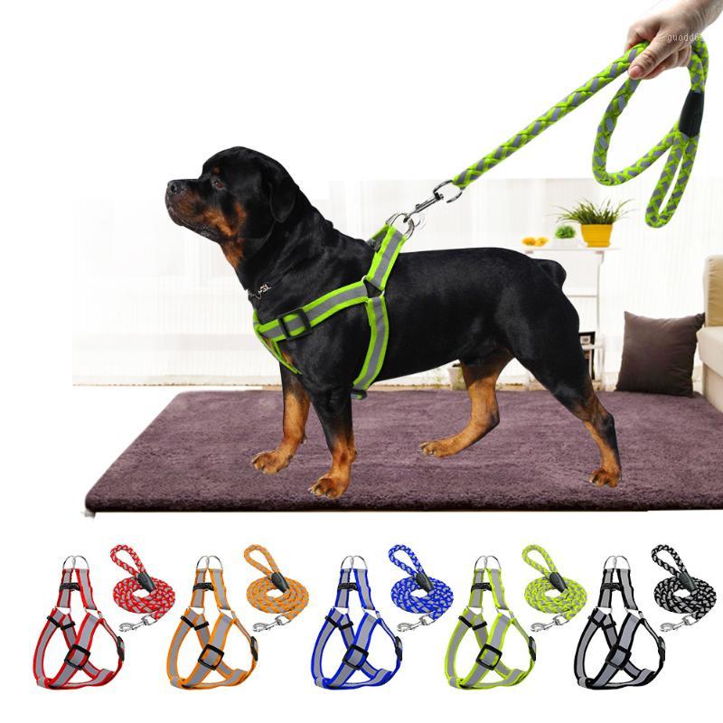Large Reflective Small Dogs Collar Harness Leash Harnais Pour Chien Pettorina Nylon Pitbull Pet Cat Puppy Accessories Supplies1
Large Reflective Small Dogs Collar Harness Leash Harnais Pour Chien Pettorina Nylon Pitbull Pet Cat Puppy Accessories Supplies1