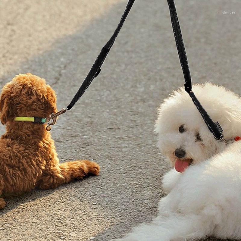 Dog Leash Double Pet Nylon Lead No Coupler With Handle for Walking and Training 2 Small Medium Dogs Pull Rope1
Dog Leash Double Pet Nylon Lead No Coupler With Handle for Walking and Training 2 Small Medium Dogs Pull Rope1