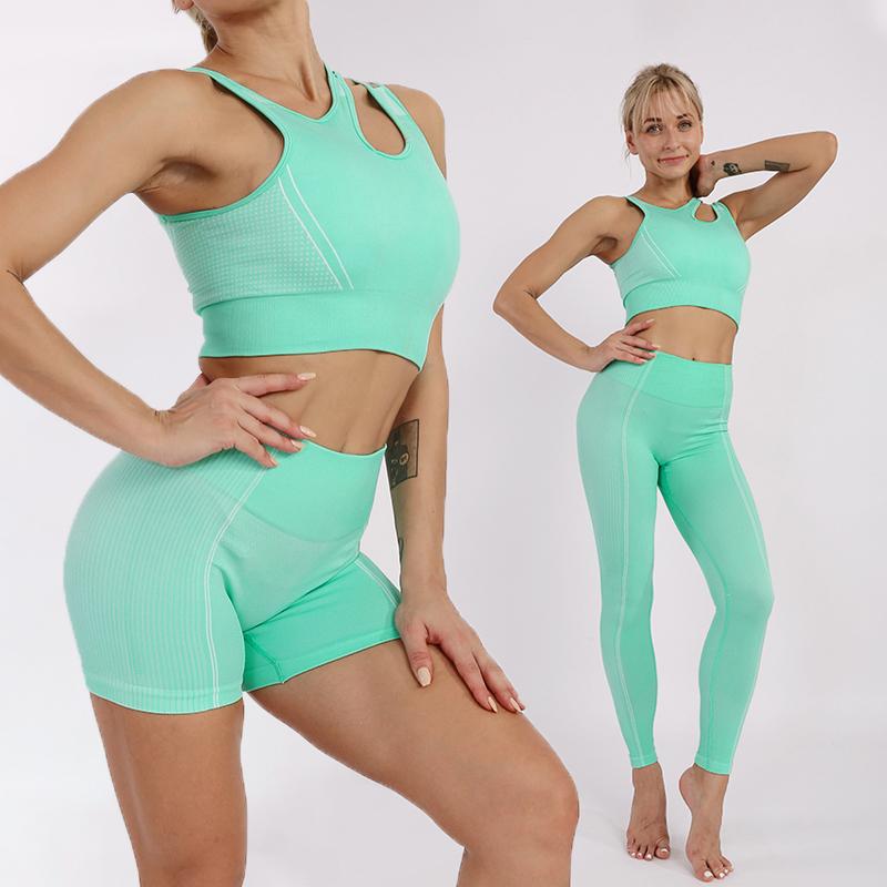 Seamless Women Yoga Set 2/3/4Pcs Workout Clothes Shirts Sport bra high waist Leggings Gym Yoga Clothes Sports Suits, Brashortsorange
Seamless Women Yoga Set 2/3/4Pcs Workout Clothes Shirts Sport bra high waist Leggings Gym Yoga Clothes Sports Suits, Brashortsorange