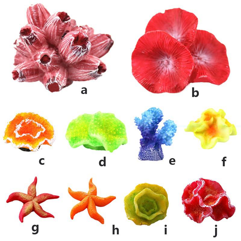 Aqua Red Resin Artificial Sea Marine Coral for Fish Tank Aquarium Decoration Landscaping
Aqua Red Resin Artificial Sea Marine Coral for Fish Tank Aquarium Decoration Landscaping