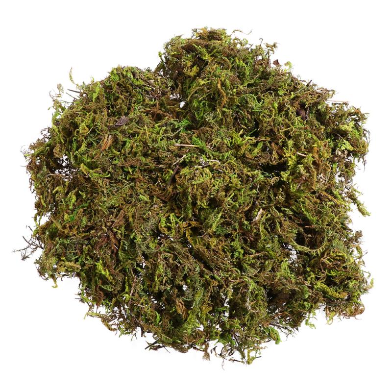 3 Packs Artificial Moss Lichen Simulation Fake Green Plants for Home Garden Patio Decoration (About 60g
3 Packs Artificial Moss Lichen Simulation Fake Green Plants for Home Garden Patio Decoration (About 60g