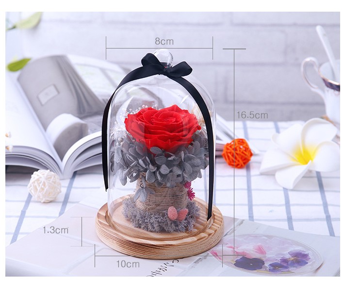 Preserved Valentines Day Gift Everlasting flower With Glass Cover Rose In Glass Dome Mother's Day Gift