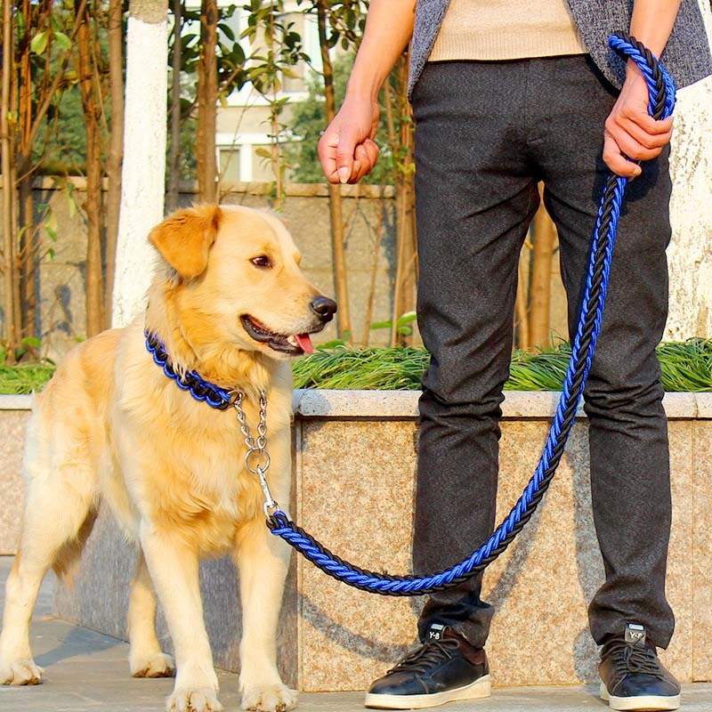 7 Colors Nylon Braided Dog Leash Rope Walking Training Pet Dog Collar Leash For Big Dogs S-XL
7 Colors Nylon Braided Dog Leash Rope Walking Training Pet Dog Collar Leash For Big Dogs S-XL