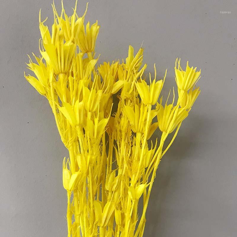 50/g Anise flower dry flower colorful bouquet living room decoration diy material arrangement shooting1, Orange
50/g Anise flower dry flower colorful bouquet living room decoration diy material arrangement shooting1, Orange