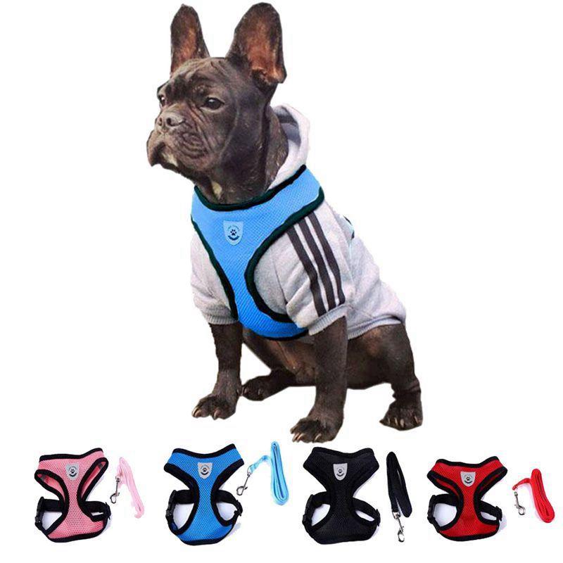 Pet Vest Harness For Small Dog leash Nylon Cat Harness Set Leashes Pet Supplies PL019
Pet Vest Harness For Small Dog leash Nylon Cat Harness Set Leashes Pet Supplies PL019