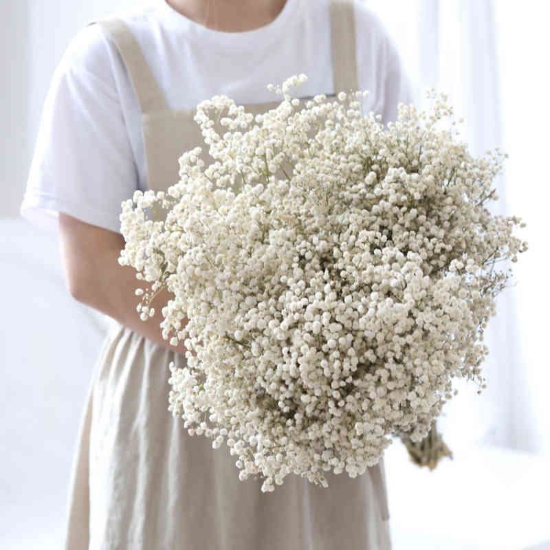 Natural Dried Preserved Flowers Gypsophila Paniculata Baby's Breath Flower Bouquets Gift for Wedding Home Decor Props for Po 211229, Purple
Natural Dried Preserved Flowers Gypsophila Paniculata Baby's Breath Flower Bouquets Gift for Wedding Home Decor Props for Po 211229, Purple