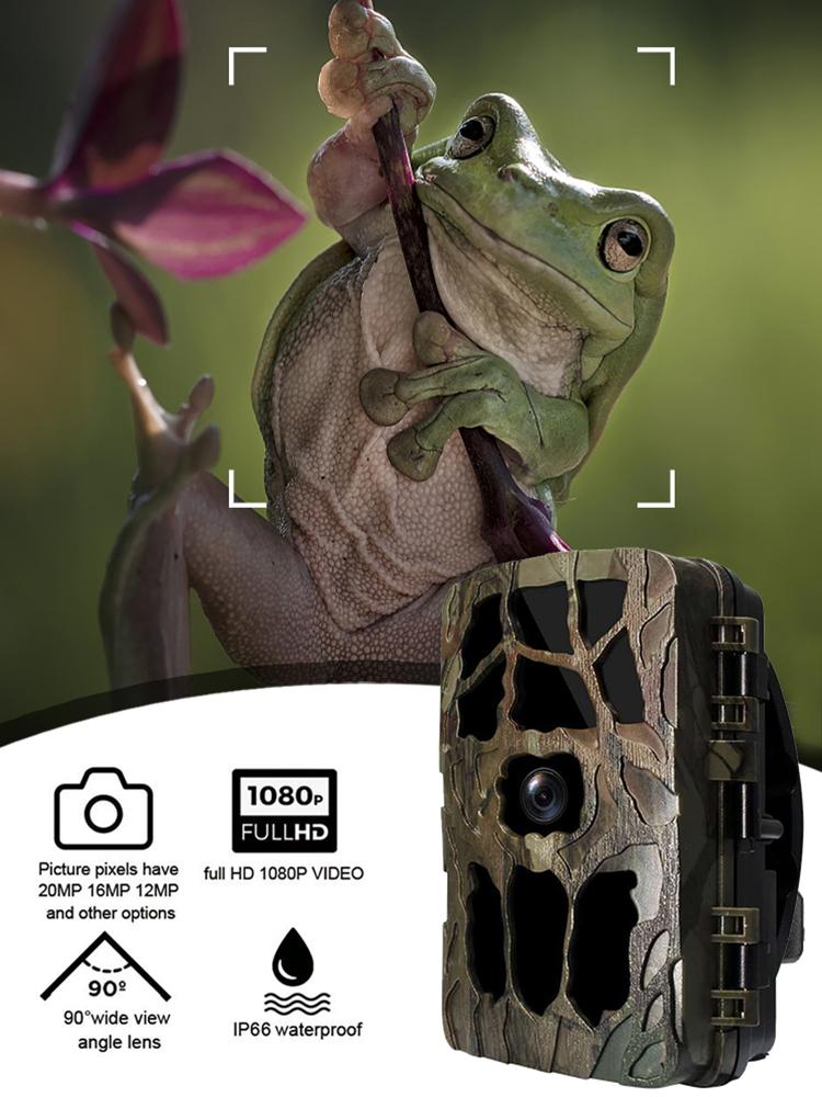 H982 Forest Camera 20MP 1080P Hunting Camera 0.2S Trigger Wildlife Scouting Security Trail Cameras Ip66 Photo Trap
H982 Forest Camera 20MP 1080P Hunting Camera 0.2S Trigger Wildlife Scouting Security Trail Cameras Ip66 Photo Trap