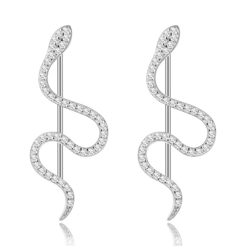 Stud 2Pcs/Set Snake Shape Earrings Women's Unusual Set 2021 Fashion Trendy Female Shiny Piercing Jewelry Suit