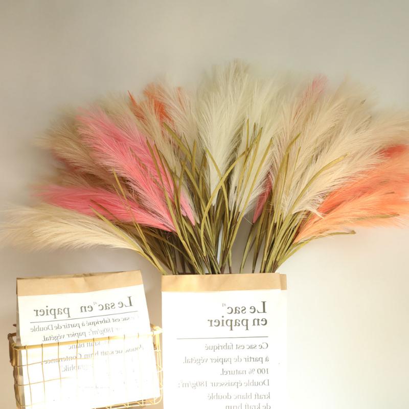 2pcs Dried Artificial Flower Reed Flower Bouquet for Home Decor Wedding Dry Grass Phragmites Bunch 100CM, Light yellow
2pcs Dried Artificial Flower Reed Flower Bouquet for Home Decor Wedding Dry Grass Phragmites Bunch 100CM, Light yellow