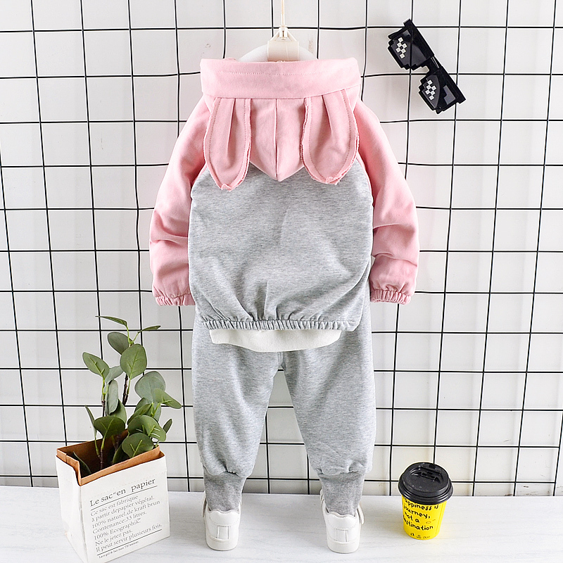 Spring Autumn Children Clothes Baby Boys Girls Hooded Jacket Pants 2Pcs/sets Kids Infant Clothing Toddler Sportswear 0-4 YEARSX1019
