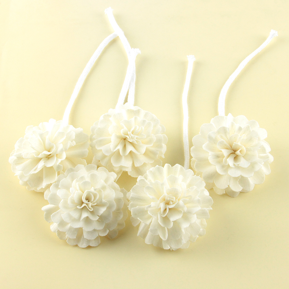 Sola Flower With Rope For Frangrance Diffuser Wholesale 100pcs/lot Simulation of plant for reed diffuser Air freshener T200509
Sola Flower With Rope For Frangrance Diffuser Wholesale 100pcs/lot Simulation of plant for reed diffuser Air freshener T200509