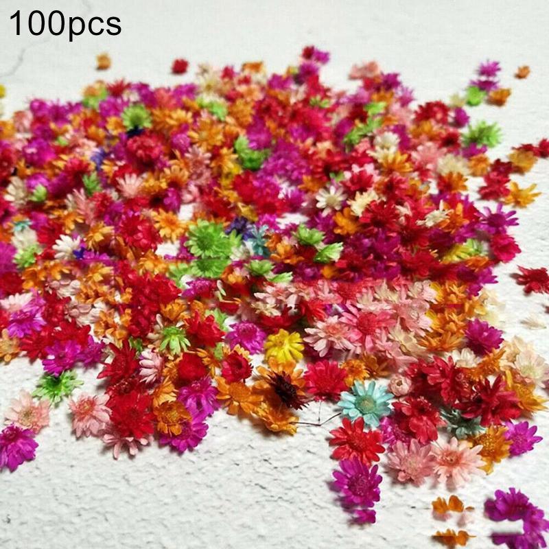 100Pcs Dried Flower Head Chrysanthemum DIY Handmade Craft Nail Art Filling Matierial Accessories Preserved Flower Decor1, White
100Pcs Dried Flower Head Chrysanthemum DIY Handmade Craft Nail Art Filling Matierial Accessories Preserved Flower Decor1, White