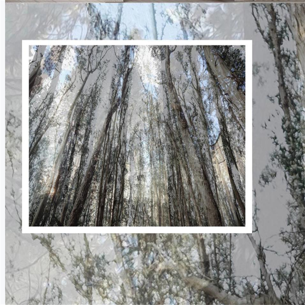 3d stereoscopic wallpaper Tree forest big tree wallpapers living room background wall decoration