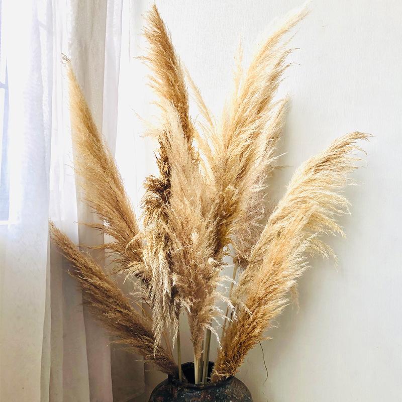 80cm Natural Big Dried Pampas Grass Bunch Deep Plant Dry Flower Bouquet For DIY Artificial Wedding Party Decoration, White
80cm Natural Big Dried Pampas Grass Bunch Deep Plant Dry Flower Bouquet For DIY Artificial Wedding Party Decoration, White