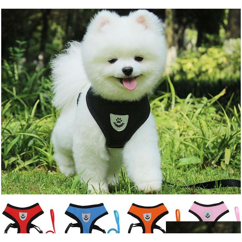 Teddy Breathable Puppy Chest Towing Dog Rope Pet Supplies Pet Harnesses Leashes Small Dog Collar Accessories Drop Ship Odabt
Teddy Breathable Puppy Chest Towing Dog Rope Pet Supplies Pet Harnesses Leashes Small Dog Collar Accessories Drop Ship Odabt