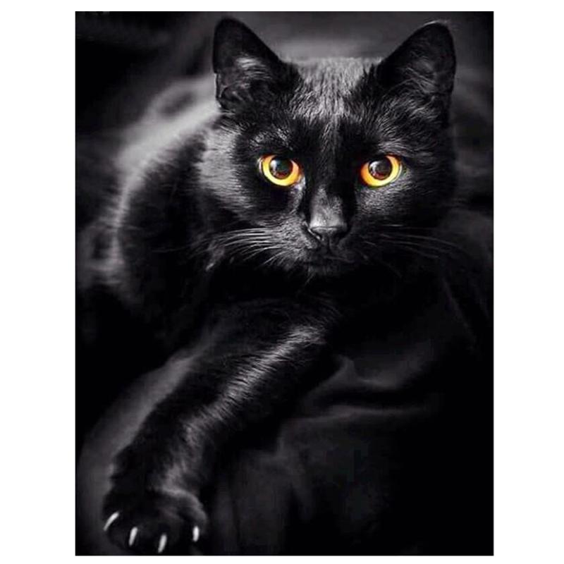 Diamond Painting Black cat Full Square/Round 5D DIY Diamond Embroidery sale Rhinestone Animal pattern Decoration Home
Diamond Painting Black cat Full Square/Round 5D DIY Diamond Embroidery sale Rhinestone Animal pattern Decoration Home