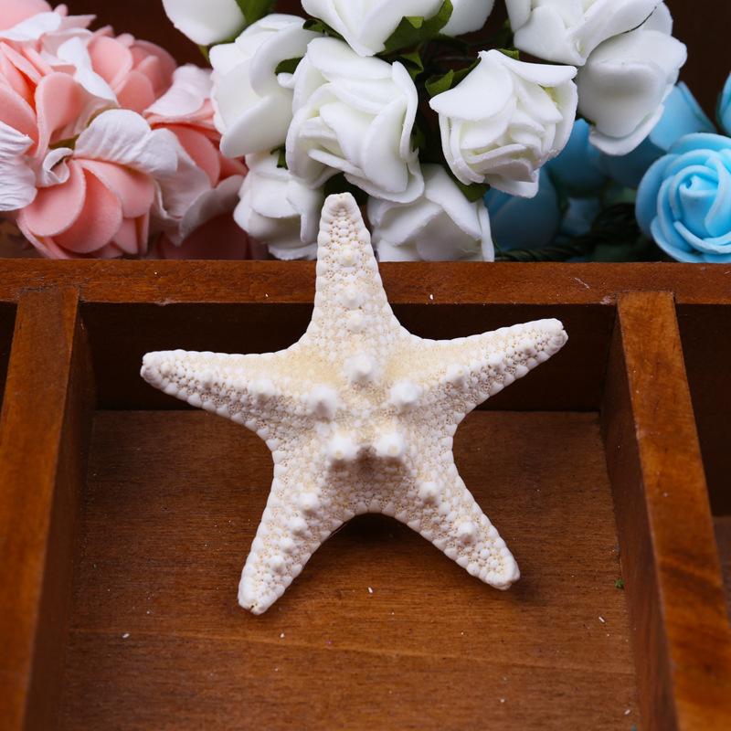 Hair Clips & Barrettes 1pcs Natural Really Starfish Hairpin Duckbill Clip Europe Fashion Women Lady Girls Pretty Star Beige
Hair Clips & Barrettes 1pcs Natural Really Starfish Hairpin Duckbill Clip Europe Fashion Women Lady Girls Pretty Star Beige