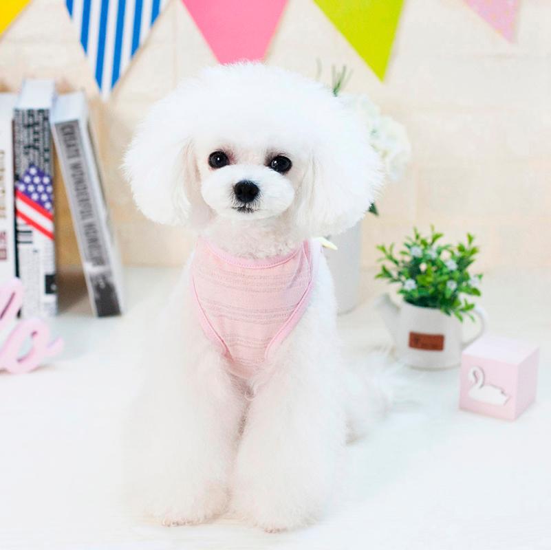 Transer Dog Clothes Dogs Shirt Small Dog Vest Pet Angel Vest Dogs Cat Cute Summer Clothes 4.16, White
Transer Dog Clothes Dogs Shirt Small Dog Vest Pet Angel Vest Dogs Cat Cute Summer Clothes 4.16, White