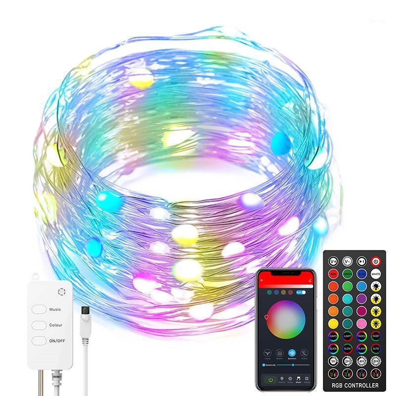 Intelligent LED String Light Bluetooth App Control String Lights Lamp Low-power Waterproof Lights for Christmas Tree Decoration1
Intelligent LED String Light Bluetooth App Control String Lights Lamp Low-power Waterproof Lights for Christmas Tree Decoration1