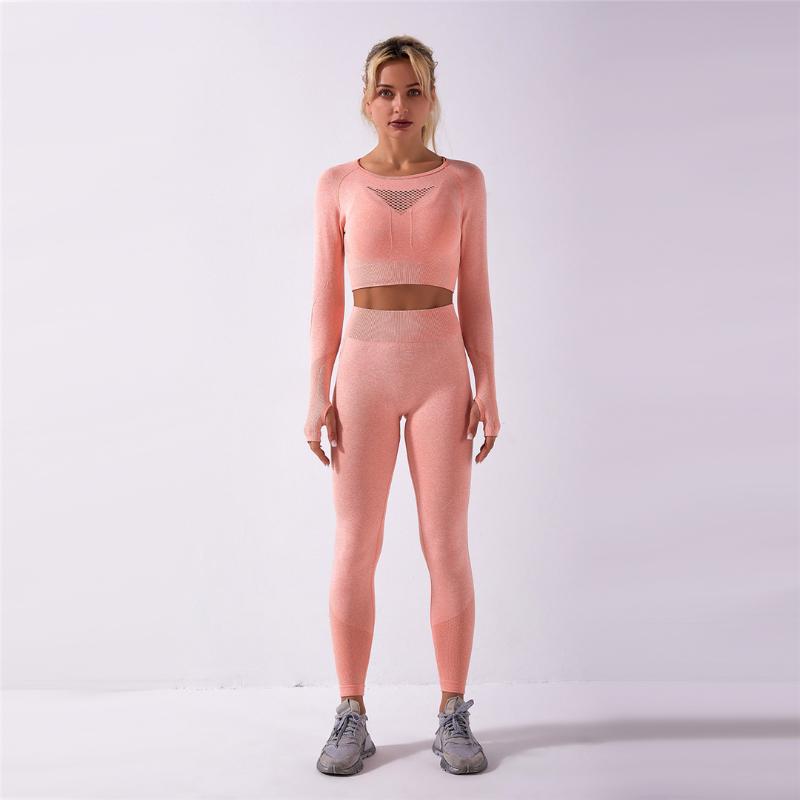 Women Seamless Yoga Set Gym Clothing Fitness Leggings+Cropped Shirts Sport Suit Women Long Sleeve Tracksuit Active Wear A013TP, Yellow top
Women Seamless Yoga Set Gym Clothing Fitness Leggings+Cropped Shirts Sport Suit Women Long Sleeve Tracksuit Active Wear A013TP, Yellow top