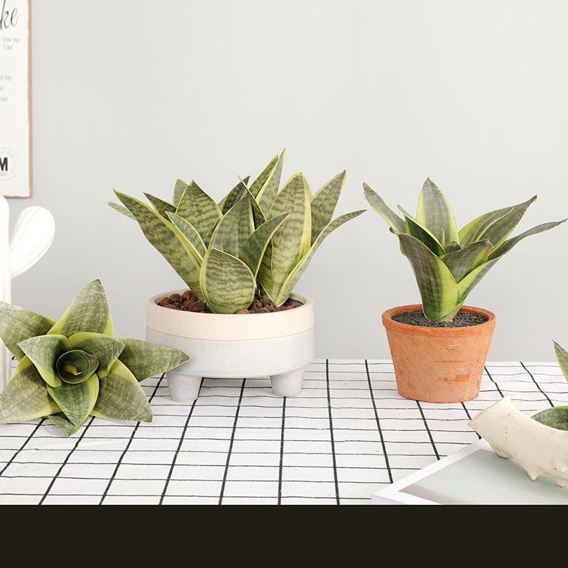 11leaves/lot Artificial Plants Sansevieria Branch For Bonsai Decoration Fake Plastic Tiger Piran Leaves Plants Home Garden Decor, 6 leaves d
11leaves/lot Artificial Plants Sansevieria Branch For Bonsai Decoration Fake Plastic Tiger Piran Leaves Plants Home Garden Decor, 6 leaves d