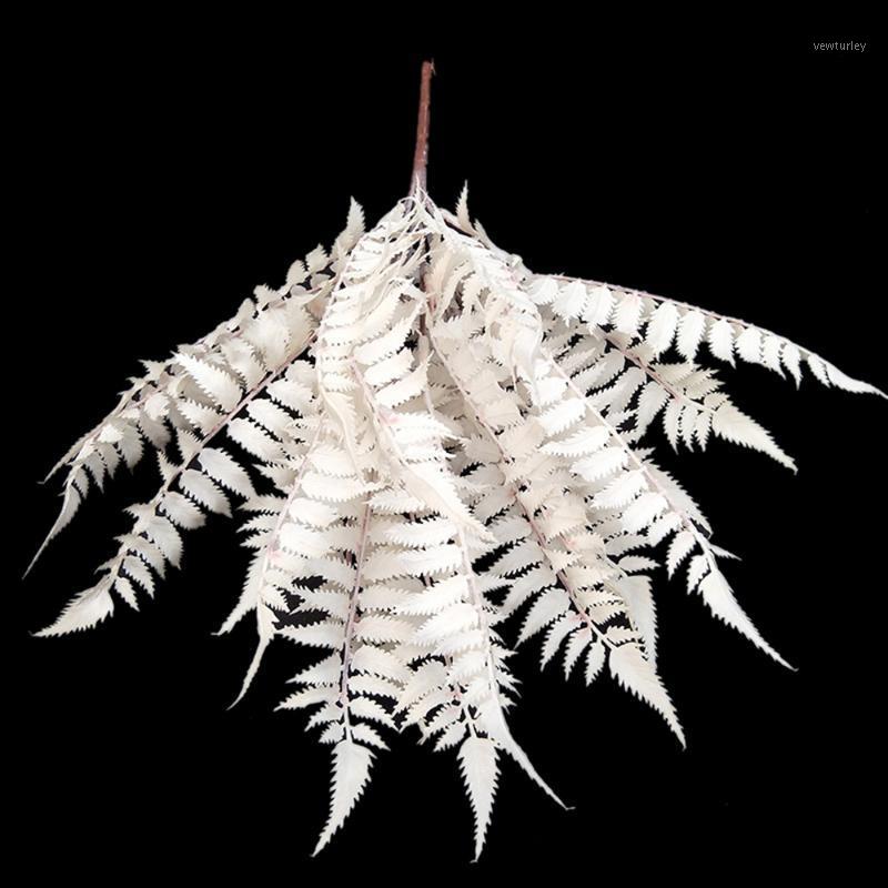48CM Artificial Simulation Pteris Phoenix Leaf 13 Forks Plant Flower Bouquet Fake Wedding Home Flower Wall Party Decoration1, Yypa0058-1
48CM Artificial Simulation Pteris Phoenix Leaf 13 Forks Plant Flower Bouquet Fake Wedding Home Flower Wall Party Decoration1, Yypa0058-1