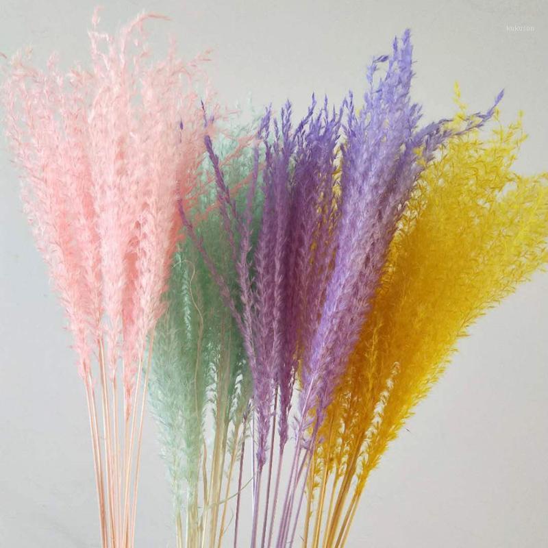 10pcs Wedding decoration pink white pampas grass dried natural phragmites flowers home decor Natural dried bouquet flowers1, 10pcs yellow
10pcs Wedding decoration pink white pampas grass dried natural phragmites flowers home decor Natural dried bouquet flowers1, 10pcs yellow