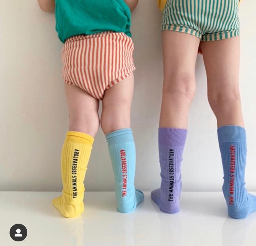 Girls Knee High Socks 2020 New TAO Brand Kids Tube Socks Fall Winter Girls Children Beautiful Color Cotton Baby Boy Sock
Girls Knee High Socks 2020 New TAO Brand Kids Tube Socks Fall Winter Girls Children Beautiful Color Cotton Baby Boy Sock