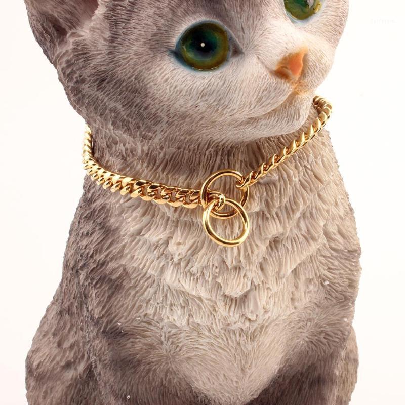 Cat Jewelry Small Dog Collar, 6mm Cat Collar Stainless Steel Pet Training Choke Chain Gold Pet Training Necklace1
Cat Jewelry Small Dog Collar, 6mm Cat Collar Stainless Steel Pet Training Choke Chain Gold Pet Training Necklace1