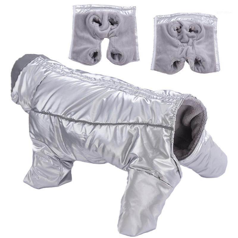 Super Warm Waterproof Male Female Dog Jumpsuit for Small Dogs Winter Pet Donw Jacket Chihuahua Bitch Overalls Puppy Dog Clothes1, Red gray boy
Super Warm Waterproof Male Female Dog Jumpsuit for Small Dogs Winter Pet Donw Jacket Chihuahua Bitch Overalls Puppy Dog Clothes1, Red gray boy