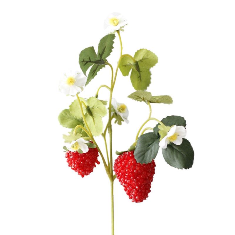 6 Pcs Acrylic Strawberry Artificial Fruit Flowers for Party Home Garden Floral Decor Decorative Fake Flower B
6 Pcs Acrylic Strawberry Artificial Fruit Flowers for Party Home Garden Floral Decor Decorative Fake Flower B