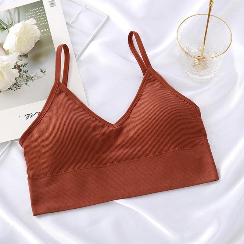 High Quality Bra Hot Sale Gifts Beautiful Elastic 1PC Soft Party Running Adjustable Sport Top New Arrival Brassiere Sexy1, Black
High Quality Bra Hot Sale Gifts Beautiful Elastic 1PC Soft Party Running Adjustable Sport Top New Arrival Brassiere Sexy1, Black