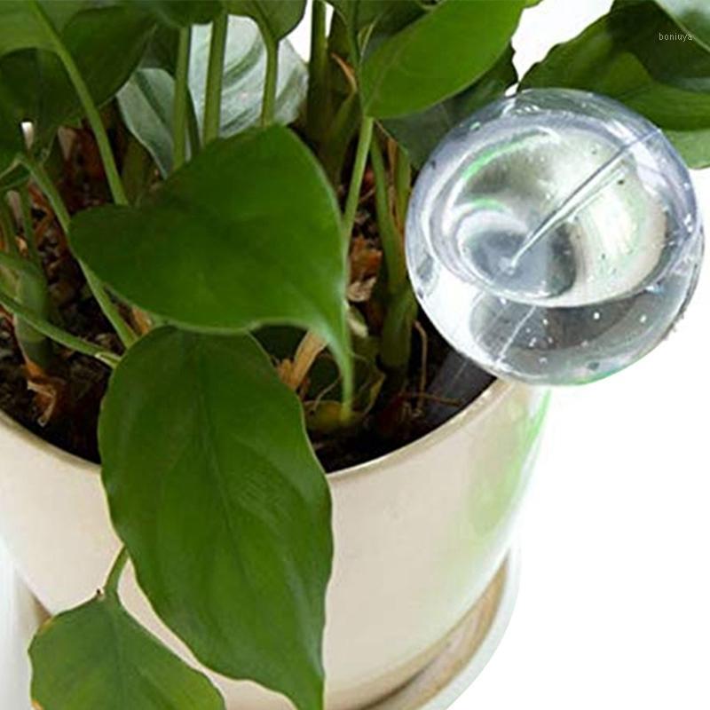 10Pcs Small Flower Automatic Watering Device Plant Pot Bulb Globe Garden Waterer Watering System Drip Irrigation1
10Pcs Small Flower Automatic Watering Device Plant Pot Bulb Globe Garden Waterer Watering System Drip Irrigation1